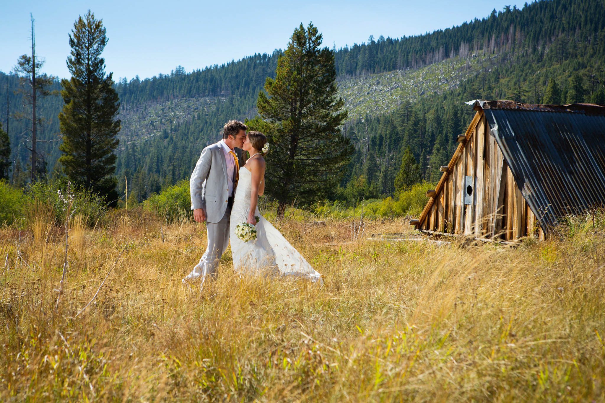bride and groom kissing in tall grass – Lake Tahoe Meeks Bay wedding photography