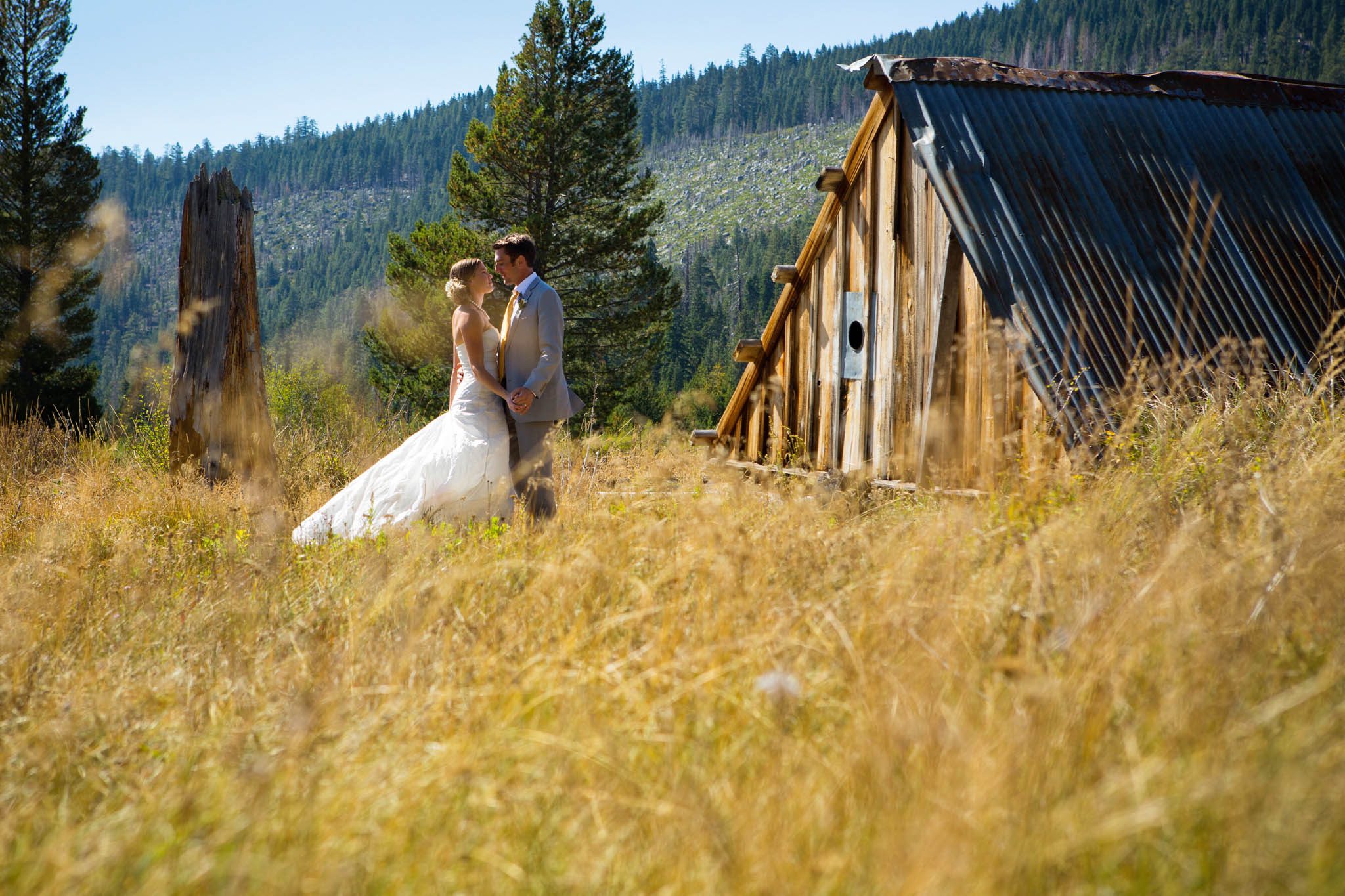 bride and groom portrait in meadow – Lake Tahoe Meeks Bay wedding photography