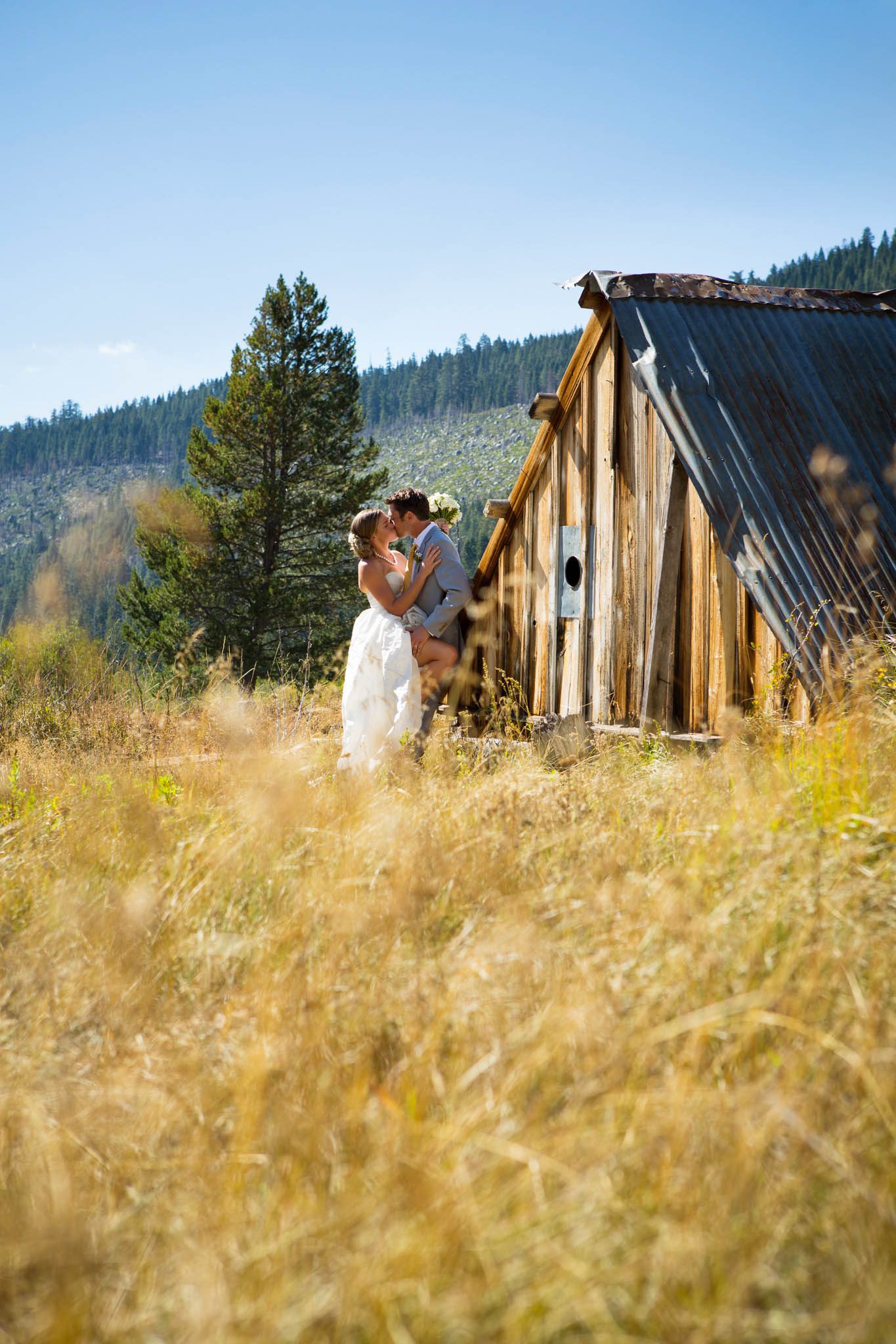 bride and groom portrait in tall grass – Lake Tahoe Meeks Bay wedding photography