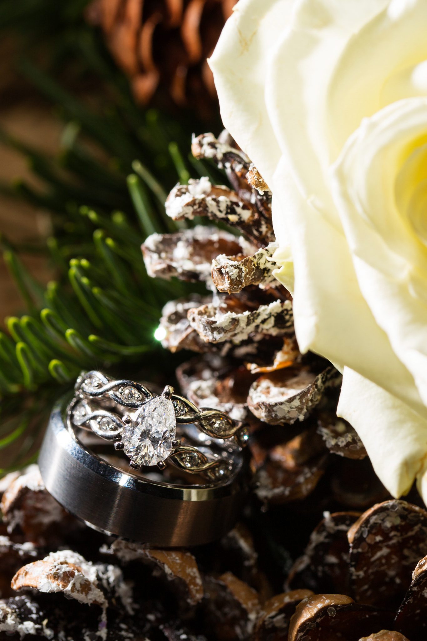 wedding rings detail diamond pine cones