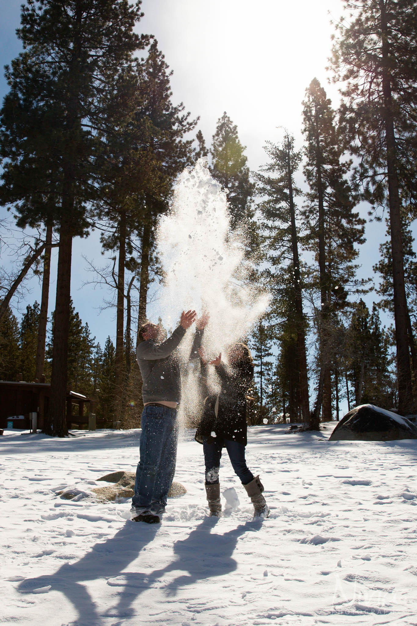 couple throwing snow up in the air, backlight, sun, trees, beach